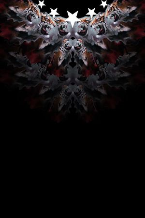 潮流印花华亿平台图片