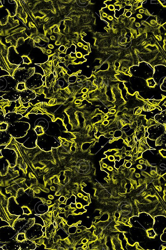 休闲印花华亿平台图片