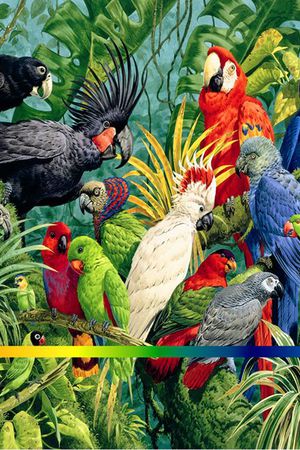 丝巾印花华亿平台图片