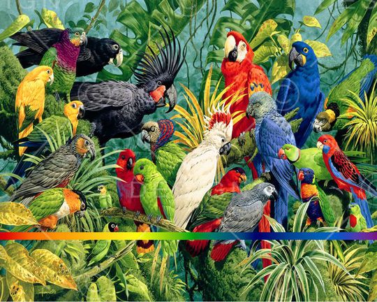 丝巾印花华亿平台图片