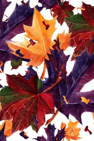 枫叶印花华亿平台图片