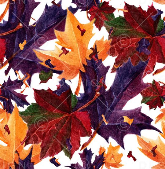 枫叶印花华亿平台图片