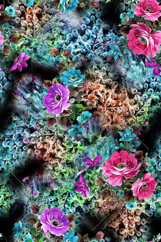 女装华亿平台印花华亿平台图片