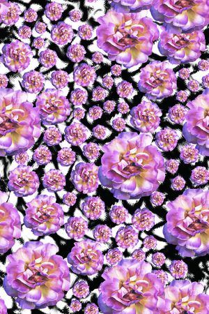 潮流ATELYER风格印花华亿平台图片