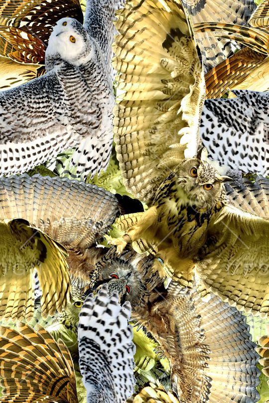 时尚印花华亿平台图片