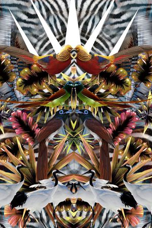 潮流时尚印花华亿平台图片