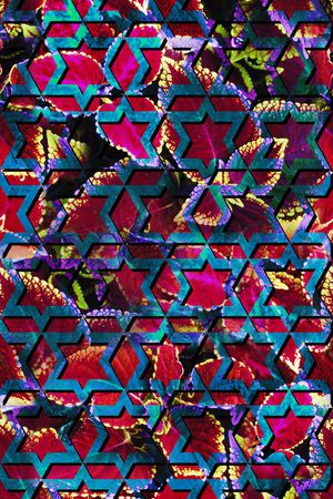 热带植物几何组合印花华亿平台图片