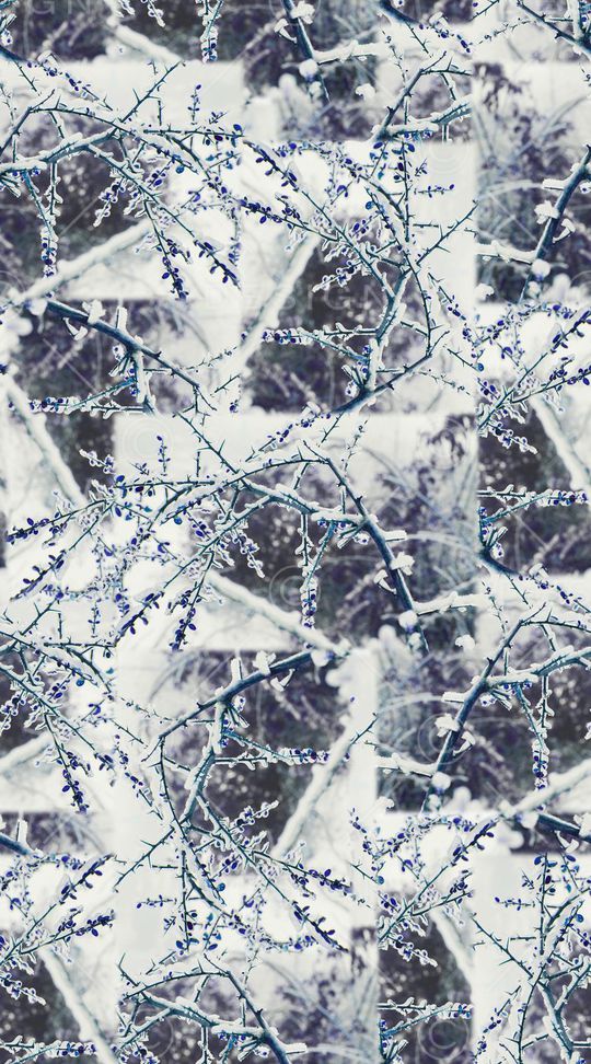 创意风景树枝剪影印花华亿平台图片