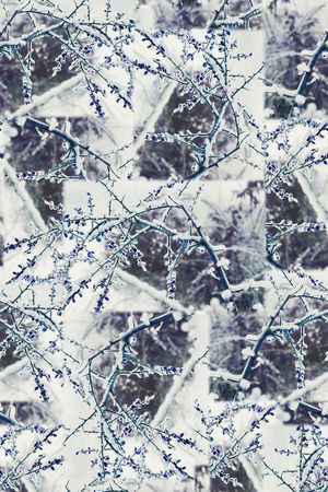 创意风景树枝剪影印花华亿平台图片