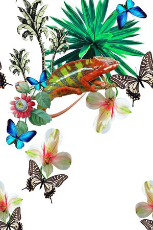 热带动物印花华亿平台图片