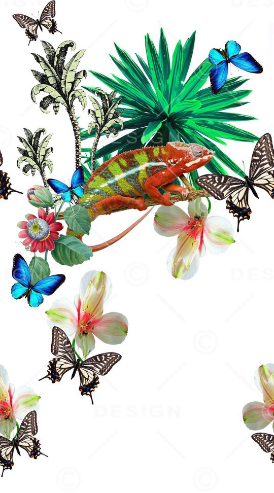 热带动物印花华亿平台图片