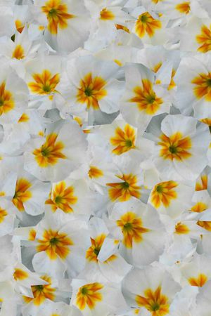 潮流印花华亿平台图片