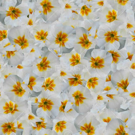 潮流印花华亿平台图片