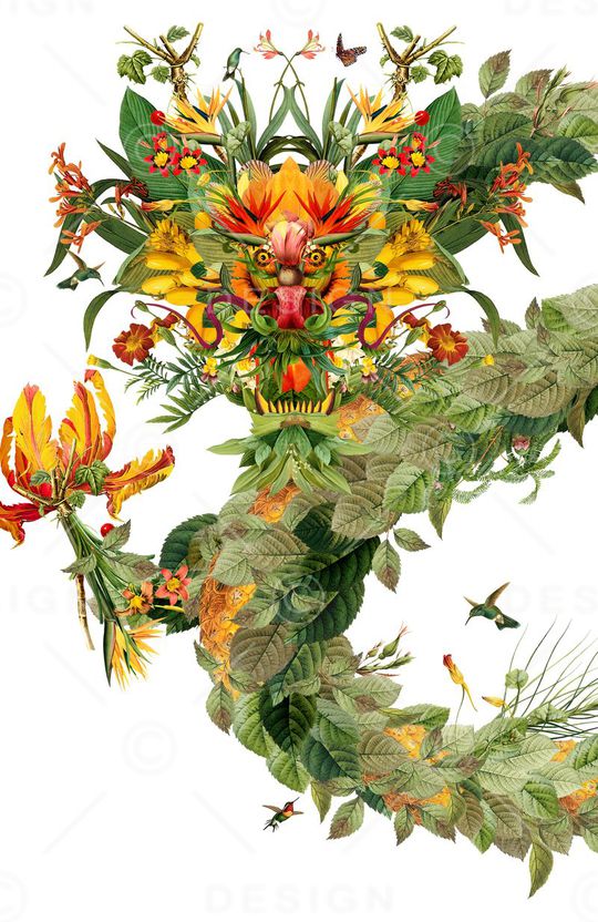 T恤图案印花华亿平台图片