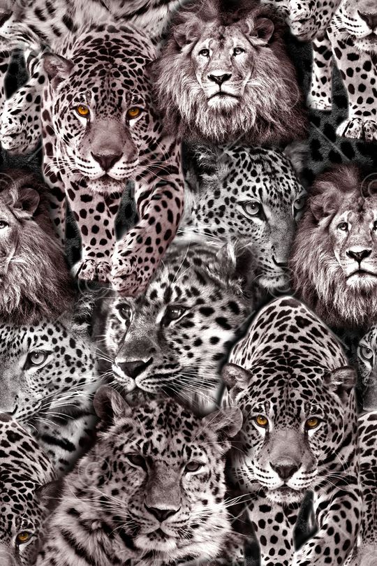 写实动物印花华亿平台图片