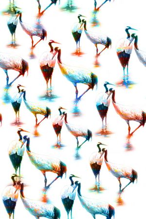 女装印花华亿平台图片