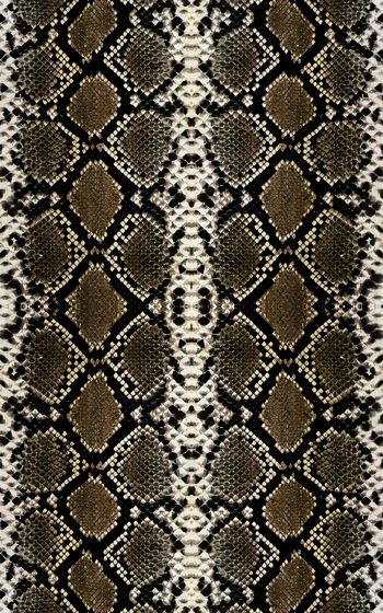 莽蛇纹印花华亿平台图片