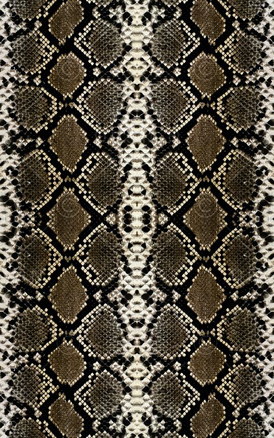 莽蛇纹印花华亿平台图片