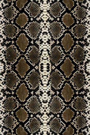 莽蛇纹印花华亿平台图片