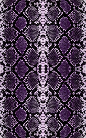 467561-莽蛇纹-皮毛-动物皮-蛇