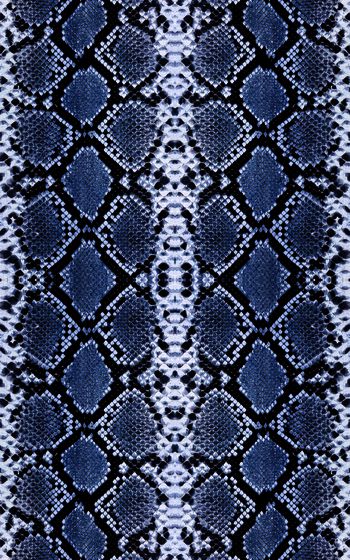 467562-莽蛇纹-皮毛-动物皮-蛇