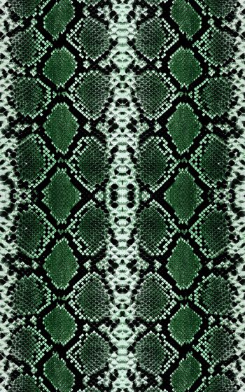 467563-莽蛇纹-皮毛-动物皮-蛇