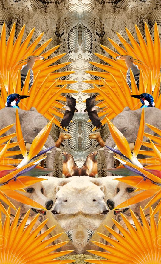 潮流时尚印花华亿平台图片