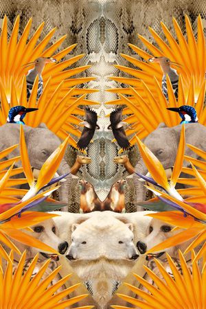 潮流时尚印花华亿平台图片