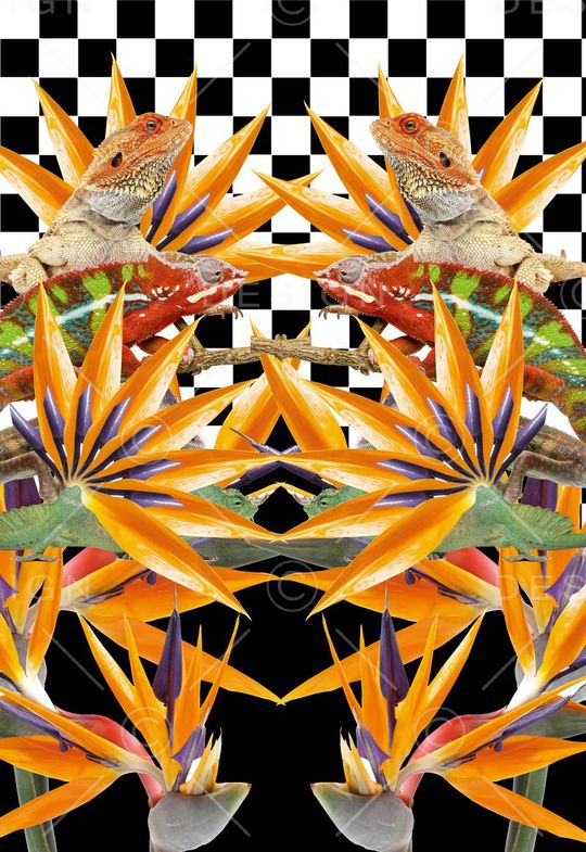 变色龙印花华亿平台图片