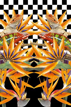 变色龙印花华亿平台图片