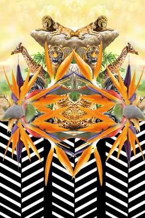 动物印花华亿平台图片