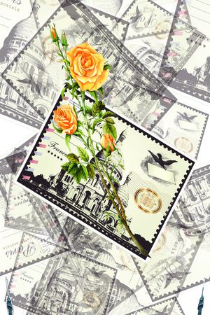 服装印花华亿平台图片