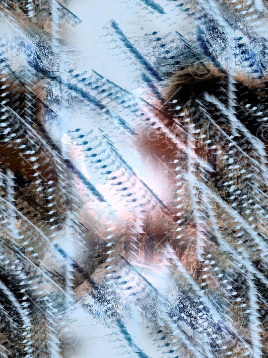 潮流印花华亿平台图片