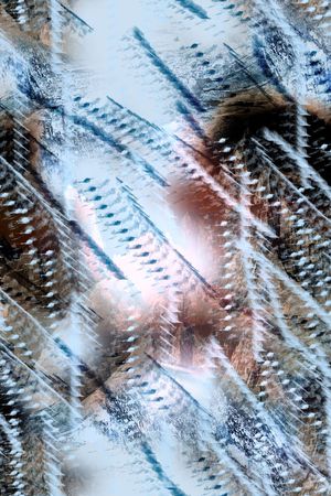 潮流印花华亿平台图片