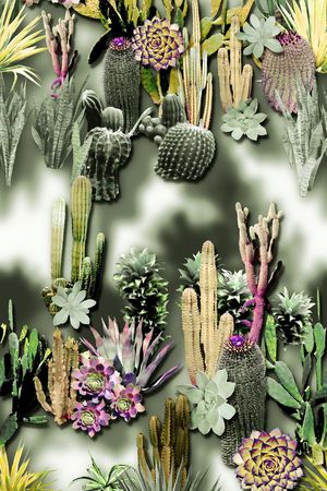 热带印花华亿平台图片