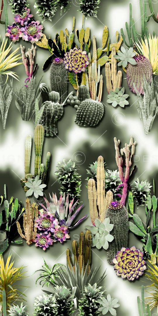 热带印花华亿平台图片