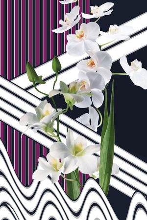 时尚几何拼接印花华亿平台图片