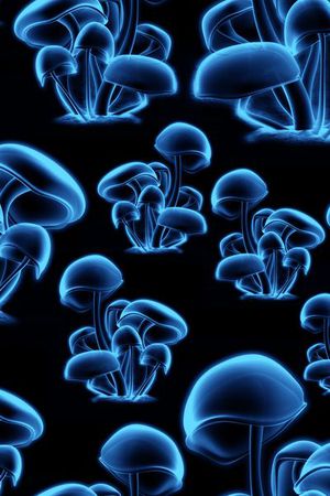 动物纹印花华亿平台图片