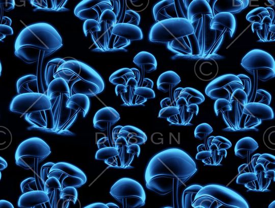 动物纹印花华亿平台图片