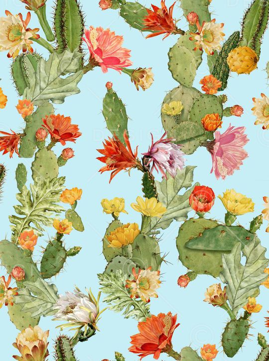 趣味印花华亿平台图片