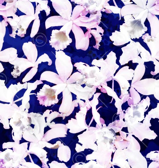 插花印花华亿平台图片