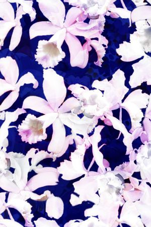 插花印花华亿平台图片