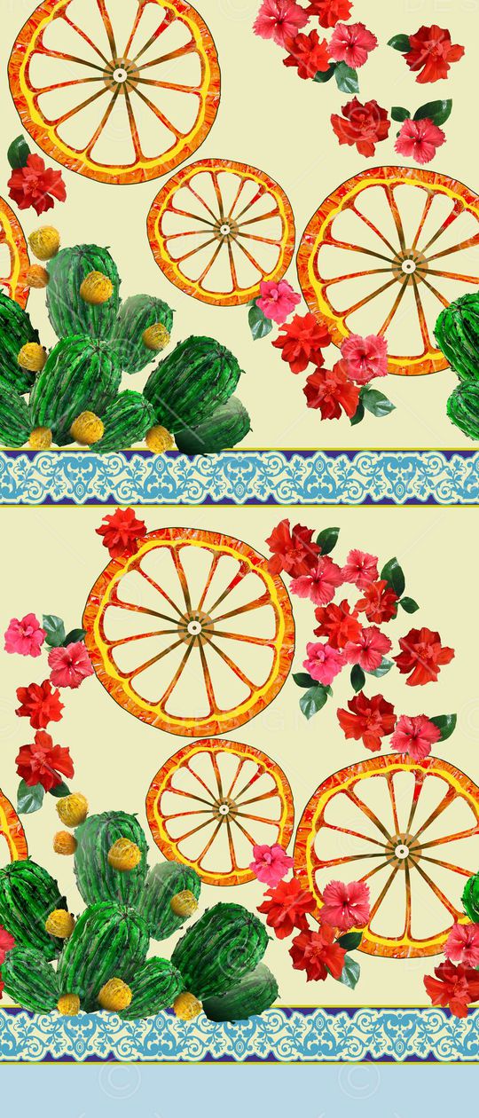 橙子 仙人掌印花华亿平台图片