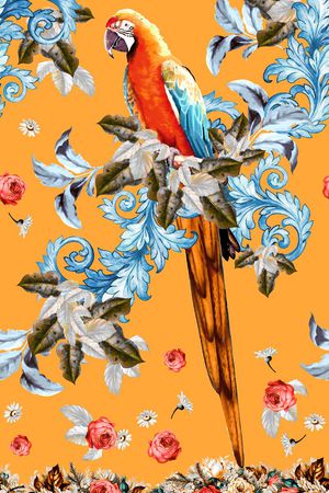 D&G印花华亿平台图片