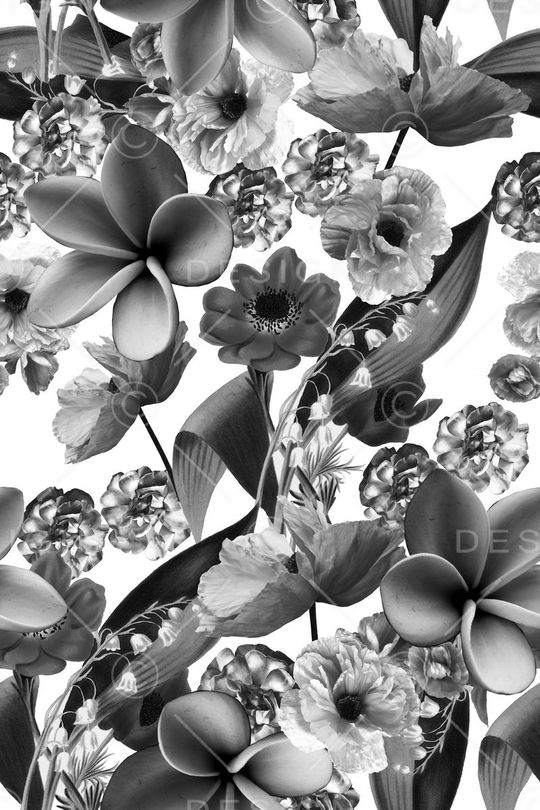 黑白花卉印花华亿平台图片