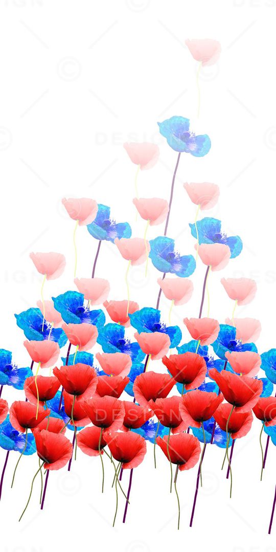 长裙印花华亿平台图片