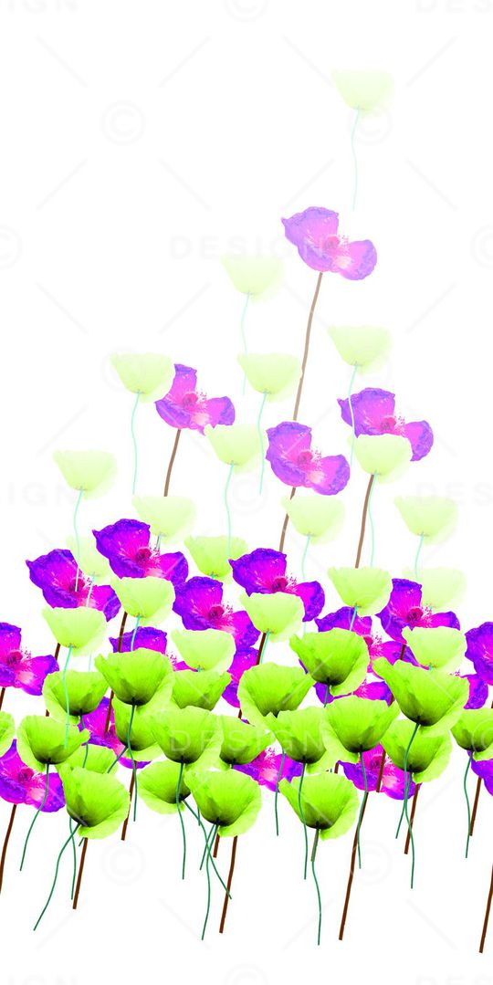 长裙印花华亿平台图片