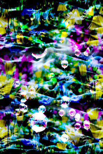 468221-炫彩抽象花卉 女士衬衫