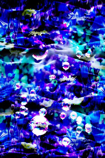 468222-炫彩抽象花卉 女士衬衫