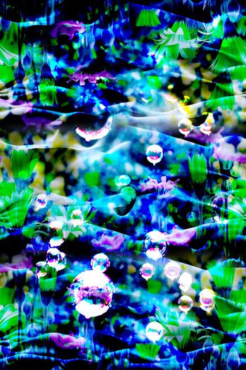 468223-炫彩抽象花卉 女士衬衫